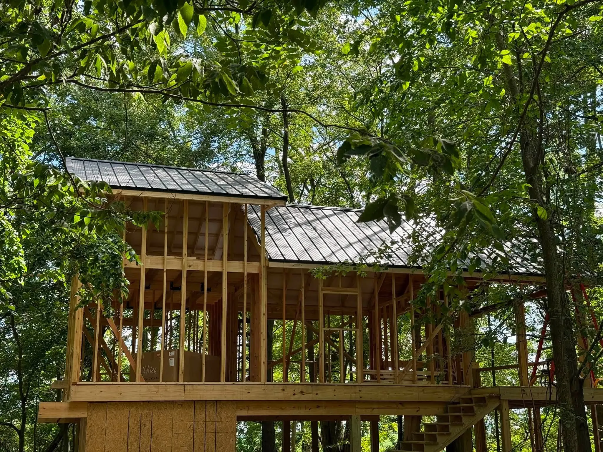 The framed treehouse among the trees, raised on posts, with its new Dark Bronze metal roof on two levels