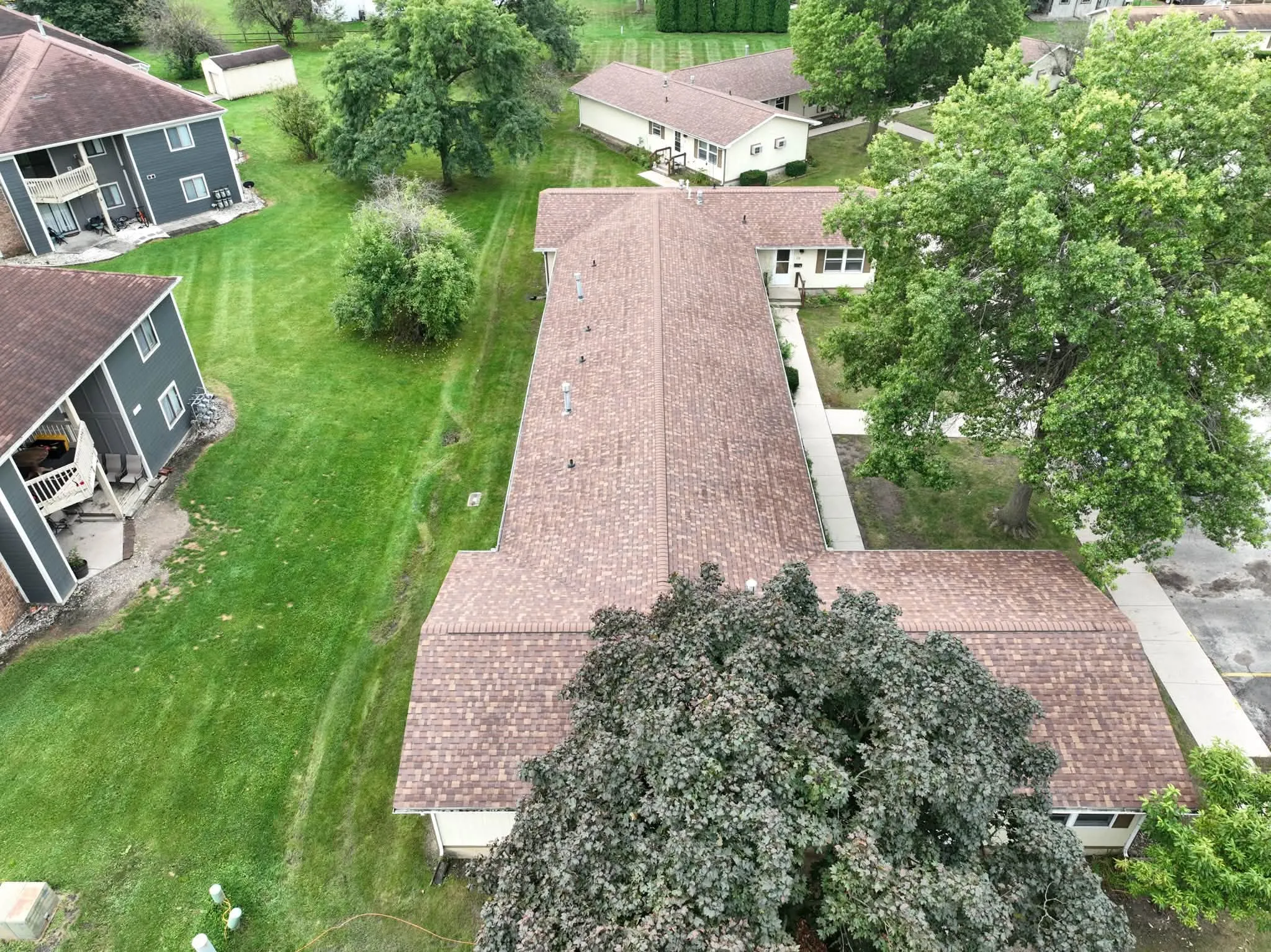 Looking down the length of a new roof, with a large tree at one end and the neighboring buildings beyond