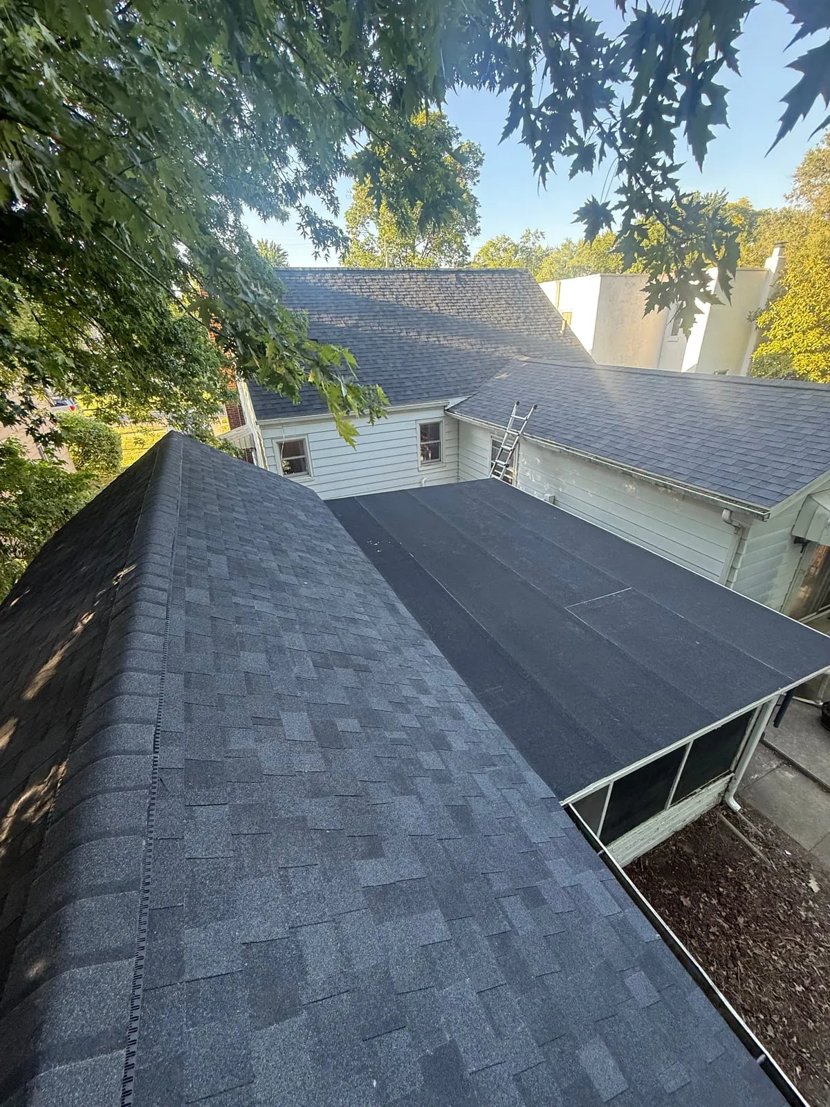 Charcoal shingle roof framed by autumn trees
